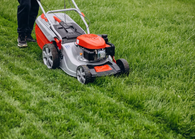 Casselberry Lawn Service for Consistent Lawn Growth and Care