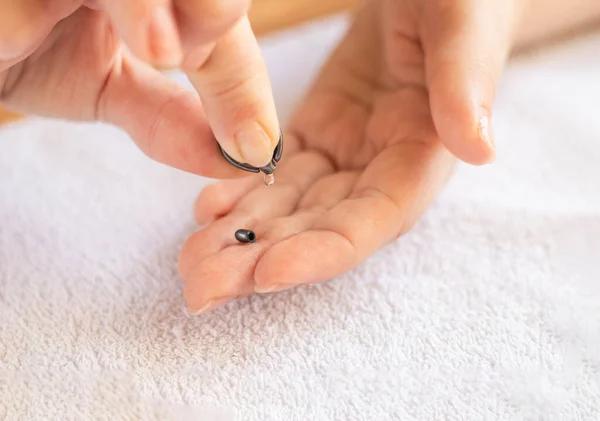 Why Piercing Specials Matter for Your Next Piercing